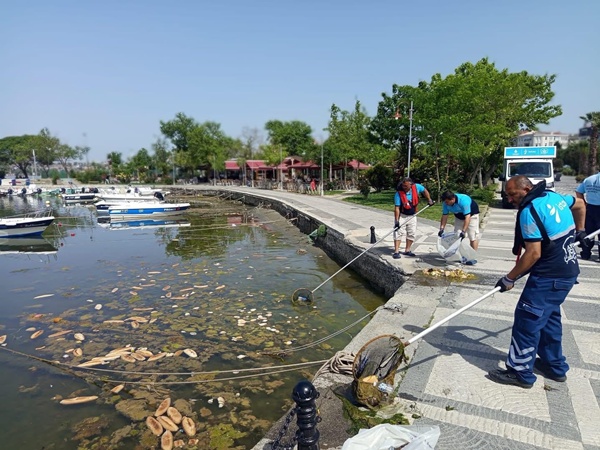 Silivri'de Yaz Sezonuyla Birlikte Sahil Temizliği Çalışmaları Hız Kazandı
