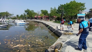 Silivri'de Yaz Sezonuyla Birlikte Sahil Temizliği Çalışmaları Hız Kazandı