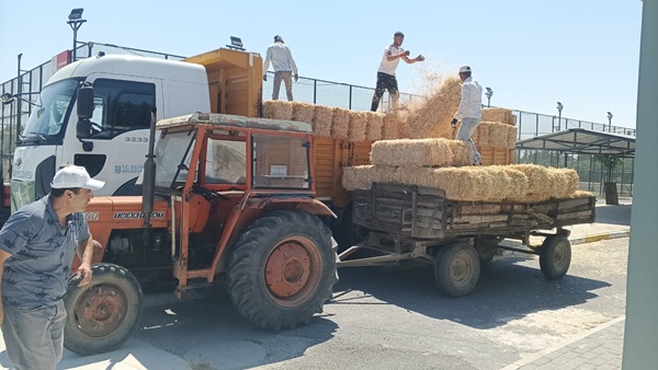 Başkan Balcıoğlu'ndan Hayvancılıkla Uğraşan Çiftçilere Saman Desteği