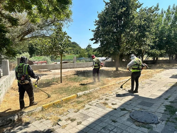 Silivri'de Park, Bahçe ve Yeşil Alanlarda Bakım Çalışmaları Sürüyor