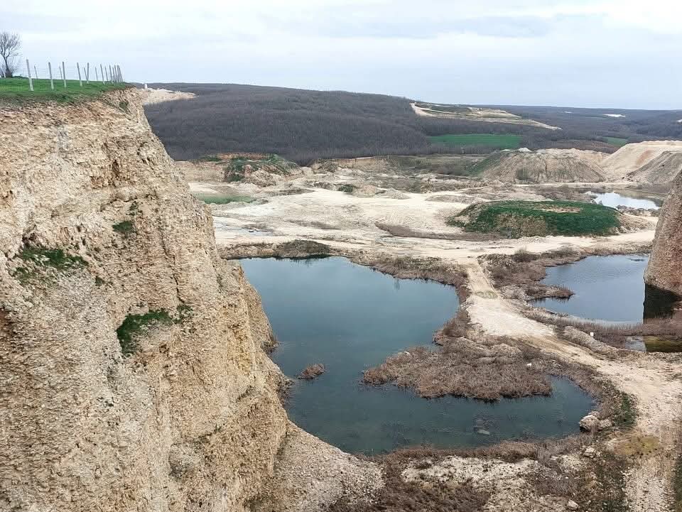 Danamandıra'da Ağaç Kesimi Başlıyor: 1600 Yıllık Roma Mirası da Yok Olacak!