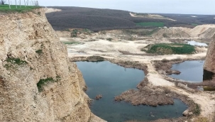 Danamandıra'da Ağaç Kesimi Başlıyor: 1600 Yıllık Roma Mirası da Yok Olacak!