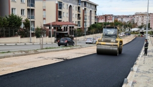 Yeni Mahalle Abelia ve Hatipoğlu Sokakları'nda Asfaltlama Çalışmaları Devam Ediyor