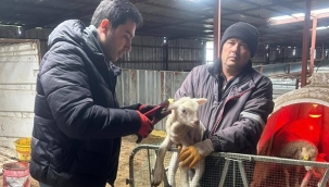 Silivri'de Küpeleme Çalışmaları Büyükçavuşlu ve Beyciler'den Başladı