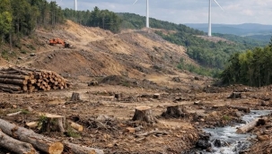Yamaçtepe 2 RES Kapasite Artışı: Çevre Yatırımı mı, Orman Kıyımı mı?