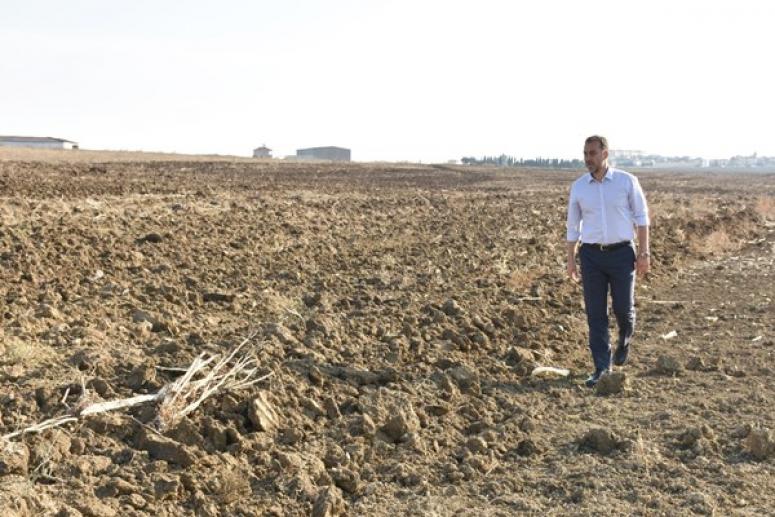 Silivri Belediyesi, 300 Dönüm Arpa Tohumu Ekti