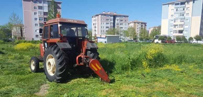 Boş arazilerdeki otlar biçiliyor