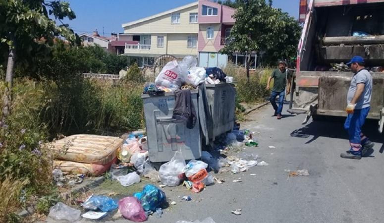 Silivri Belediyesi'nden yaz temizliği