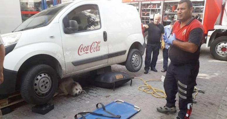 Can Dostumuzun Yardımına Veteriner Hekimliği Koştu