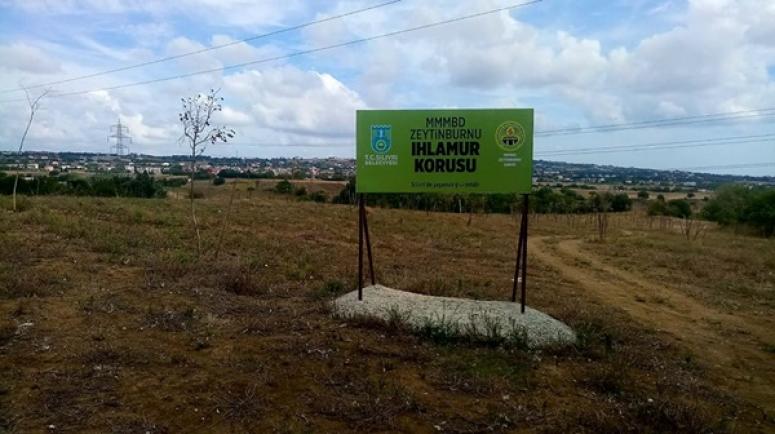 Toygar: Ya bu ağaçlara sahip çıkın ya da tabelanızı sökün!