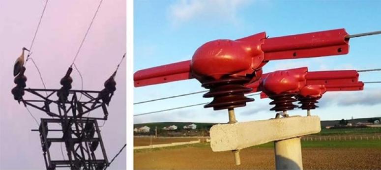 Bekirli'de kuşlar ölmesin diye elektrik hatlarına izolasyonlu önlem