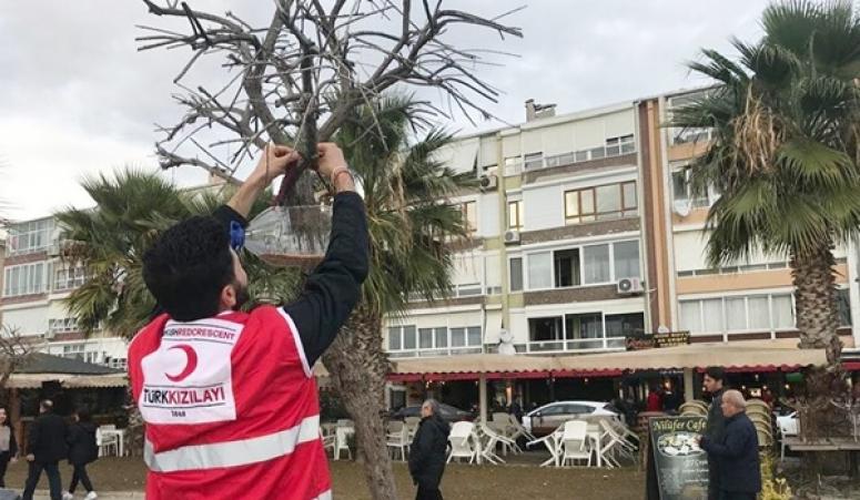 Genç Kızılaycılardan örnek davranış