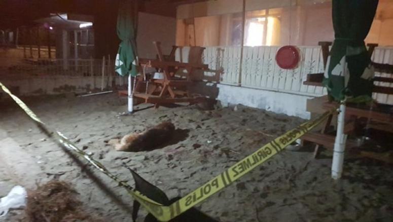 Silivri'de bir polis zincire bağlı köpeği silahla vurdu!