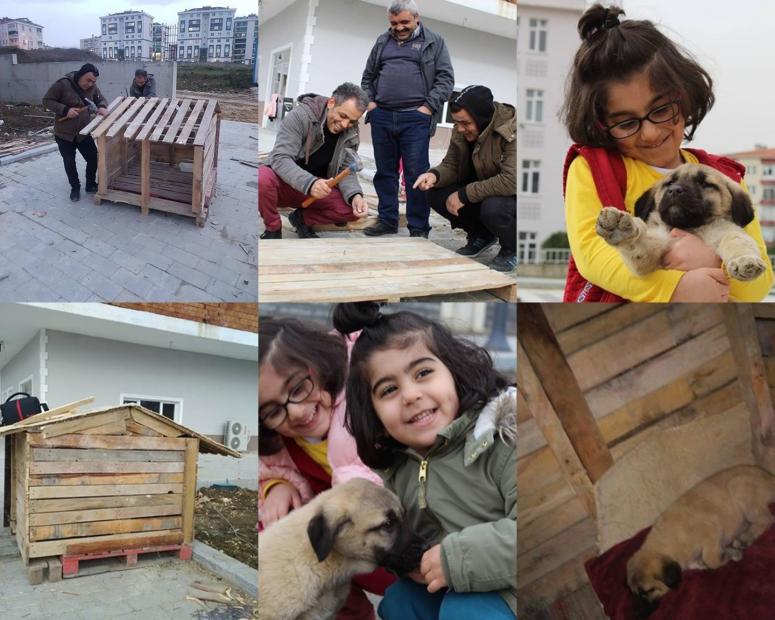 Silivri Cemevi, sokak köpeği sahiplendi